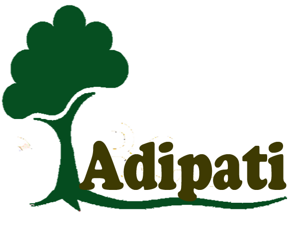 cv.adipati jaya abadi